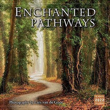 Reviving the Spirit of Adventure: A Journey on the Magical Pathways